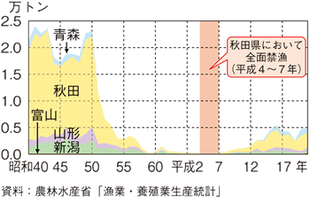 ハタハタ⽇本海北部系群の漁獲量推移グラフ
